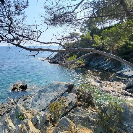 Golfe De Saint Tropez Terrasses De Sylvabelle Gigaro Apartmán La Croix-Valmer